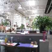 Furnace Design Studio