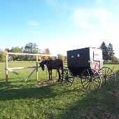 Branch County Amish Country