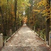 Oakland County Parks