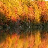 Fall at Sand Lake