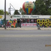Wesley Berry Flowers - Schoolcraft