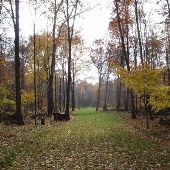 Heather's Hartland & Holly Property