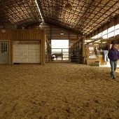 Haley Hills Equine Farm