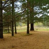 Grandma's Horse Farm