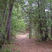 P. H. Hoeft State Park