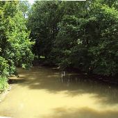 Camp 24 Farm