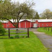 White Lake Farm