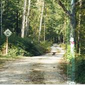 Greyerbiehl Tree Farm