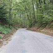 Lake St. Winding Road