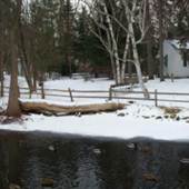 Byers Homestead