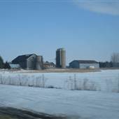 Thumb Area Farmland