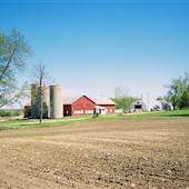 Kozvchowski Farms