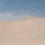 Warren Dunes State Park