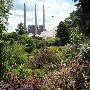 Cooley Gardens