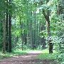 Kellogg Experimental Forest