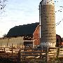 Tuthill Farms