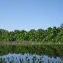 Bald Mountain State Park