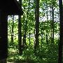 Bald Mountain State Park
