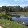 Sharon Mills Dam