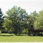 Mt. Pleasant City Parks