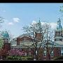 First Presbyterian Church