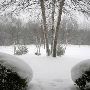 Paul's Buchanan Township Land