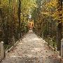 Oakland County Parks