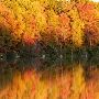 Fall at Sand Lake