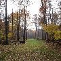 Heather's Hartland & Holly Property