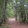P. H. Hoeft State Park