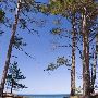 Au Train Bay Scenic Overlook