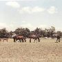 Belair Farm