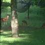 Ray's Oxford Township Home