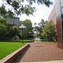 Frances Wilson Thompson Library