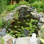 Back Yard with Pond