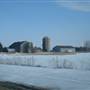 Thumb Area Farmland