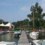 Rose's On Reeds Lake