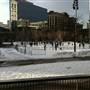 Rosa Parks Circle