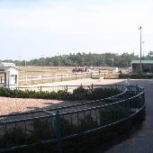 Great Lakes Downs
