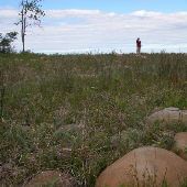 Negwegon State Park