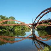 Tridge