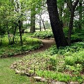 Matthaei Botanical Gardens