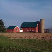 Dave's Farm