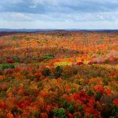 Deadman's Hill