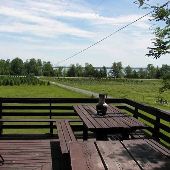 Brach Christmas Tree Farm