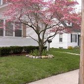 Mario's Grand Rapids Home