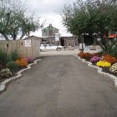Wiard's Orchards
