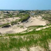 Ludington State Park