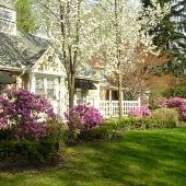Hines Park Neighborhood