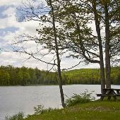 Lake Plumbago